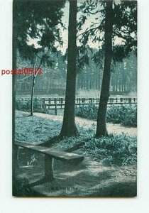 C7169●東京 井の頭公園 池畔のベンチ【絵葉書】