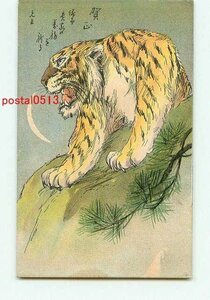 Art hand Auction H3782●New Year's Card Year of the Tiger Part 1 [Postcard], antique, collection, miscellaneous goods, Postcard