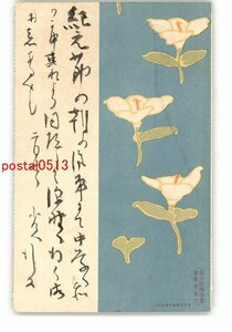 XyO1310●花絵葉書 その832 *エンタイア *傷み有り【絵葉書】