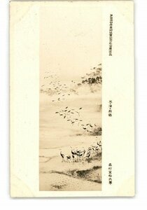 XyW5495●第100回日本美術協会記念綜合展出品 米の津の群鶴 森村宜稲氏筆 *傷み有り【絵葉書】