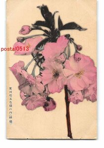 XyD1893●東京 手彩色 荒川五色桜 その2 *アルバム跡有り【絵葉書】