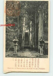 V3202●神奈川 箱根 権現神社 石段 *剥離有り n 【絵葉書】