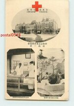 Xa5842●東京 日本赤十字社 平和記念博 出品品【絵葉書】_画像1