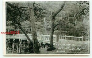 E1922●岐阜 養老公園 観月橋【絵葉書】