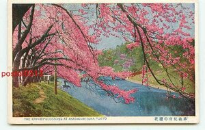 F1024●東京 赤坂見附の桜【絵葉書】