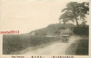 A3409●山形 羽前 湯田川温泉 一本松の景【絵葉書】