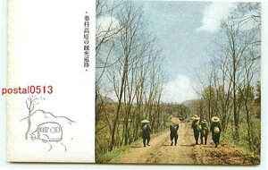 A9297●長野 蓼科高原 観光道路【絵葉書】