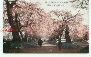 B1429●宮城 仙台 榴ヶ岡公園の桜【絵葉書】