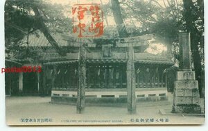 D5664●福岡 筥崎八幡宮 御箱松【絵葉書】