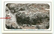 D4169●静岡 湯ヶ島温泉 落合楼旅館 全景【絵葉書】_画像1