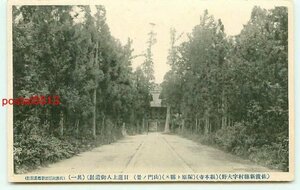 C9175●新潟 佐渡 日蓮聖人遺跡 根本寺 1【絵葉書】