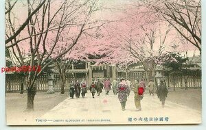 C5705●東京 靖国神社境内の桜【絵葉書】