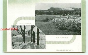 D6388●新潟 湯沢温泉 苗場山花畑【絵葉書】