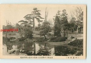 T7460●千葉 千葉公園 羽衣松【絵葉書】