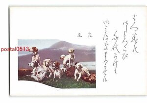 Art hand Auction XyB6109●Neujahrskarten-Kunstpostkarte Teil 1695 Hund [Postkarte], Antiquität, Sammlung, verschiedene Waren, Ansichtskarte