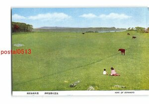 XyF9721●和歌山 南紀串本風景 潮岬望楼の芝生 *傷み有り【絵葉書】