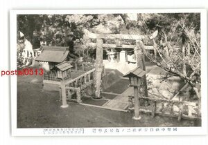 XyJ0776●長崎 国幣中社住吉神社二の鳥居及参道 *傷み有り【絵葉書】