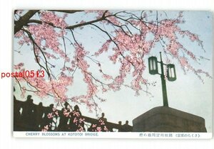 XyK9707●東京 さくらの東京 隅田川言問橋の桜 *傷み有り【絵葉書】