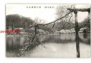 XyM8510●福島 白河名勝 桜の南湖公園 *傷み有り【絵葉書】