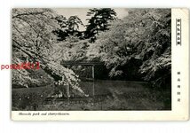 XyQ2042●青森 桜の弘前公園 福島橋付近 *エンタイア *傷み有り【絵葉書】_画像1