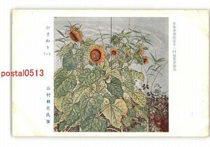 XyQ7507●日本美術院第11回展覧会出品 ひまわり 1 山村耕花氏筆 *傷み有り【絵葉書】