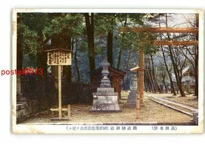 XyR5355●新潟 高田名勝 県社榊神社 榊原藩祖康政公を祀る *傷み有り【絵葉書】