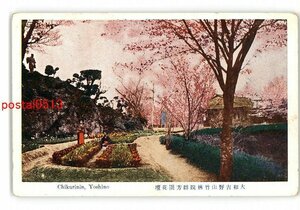 XyT5019●奈良 大和吉野山竹林院群芳園花壇 *傷み有り【絵葉書】