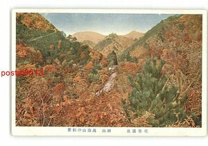 XyT6642●岩手 花巻温泉 羽山 萬寿山の紅葉 *傷み有り【絵葉書】