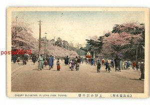 XyU4177●東京 手彩色 東京桜名所 上野公園の桜 *エンタイア *傷み有り【絵葉書】