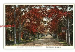 XyX4730●岩手 花巻温泉 貸別荘街の紅葉 *傷み有り【絵葉書】