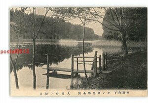 XyZ0455●東京 東京府下 井ノ頭恩賜公園 丸池畔の絶景 *傷み有り【絵葉書】