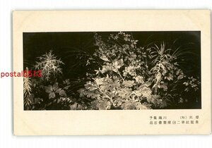 XyZ3621●草炎 右 川端龍子 青龍社第2回展覧会出品 *傷み有り【絵葉書】