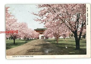 XZA3435●朝鮮 京城 景福宮 光化門の桜 *傷み有り【絵葉書】