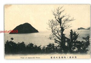 XZB5476●青森 浅虫湯の島裸島の遠望 *傷み有り【絵葉書】