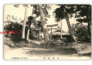 XZB2357●長野？ 鹿島神社 *傷み有り【絵葉書】