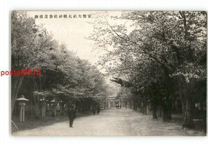 XZA9670●北海道 官弊大社札幌神社参道桜樹 *傷み有り【絵葉書】