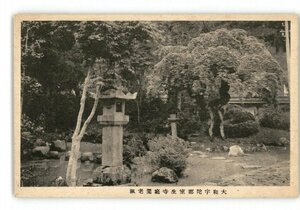 XZC1047●奈良 大和宇陀郡室生寺庭園老楓 *傷み有り【絵葉書】