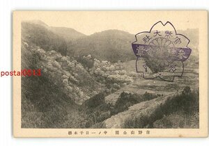 XZC2495●奈良 吉野山公園 中の一目千本桜 *傷み有り【絵葉書】