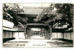 XZC0025●福井 真宗本山誠照寺正門 鯖江町 *傷み有り【絵葉書】