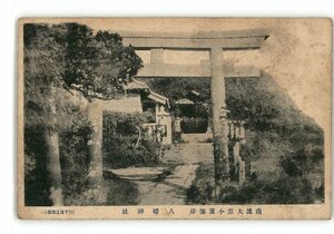 XZC4784●千葉 南総大原小浜海岸 八幡神社 *傷み有り【絵葉書】