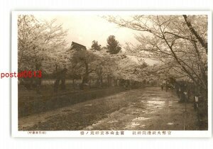 XZC9155●静岡 浅間神社 富士山本宮 神苑の桜 *傷み有り【絵葉書】