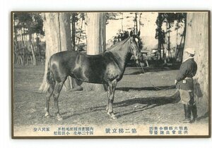 XZC4894●奥羽6県連合馬匹共進会出陳優等 第二梯立号 内国産洋種栗毛牡馬 5尺8分 42年生 小田岩松 *傷み有り【絵葉書】