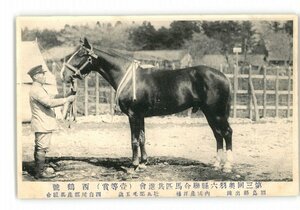 XZC4908●第3回奥羽六県連合馬匹共進会 1等賞 西鶴号 福島県出陣 内国産洋種 牡馬栗毛5歳 西白川郡産馬組合 *傷み有り【絵葉書】