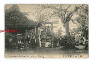 XZE6363●徳島 大杉神社水舎 *傷み有り【絵葉書】