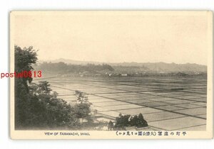 XZF2747●福島 平町の遠望 大勝公園より見たる *傷み有り【絵葉書】