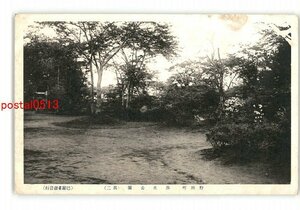 XZG7536●千葉？ 野田町 清水公園 その2 *傷み有り【絵葉書】