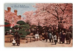 XZH1199●東京 靖国神社の桜 *傷み有り【絵葉書】