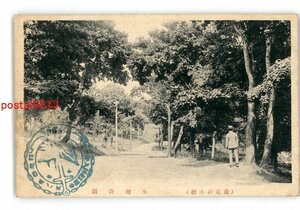 XZH4840●北海道 最近の小樽 小樽公園 *台紙剥がし跡有り注意 *傷み有り【絵葉書】