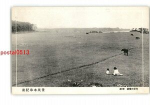 XZH9970●和歌山 南紀串本風景 潮岬 望楼の芝生 *傷み有り【絵葉書】