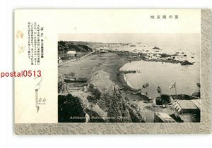 XZI3578●千葉 夏の楽天地 銚子 あしか島海水浴場 *傷み有り【絵葉書】